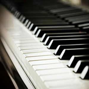 午夜男同女同在线观看
