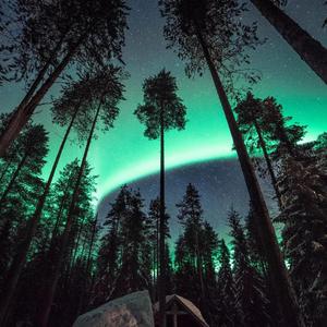 午夜男同女同在线观看
