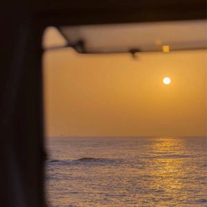 午夜男同女同在线观看
